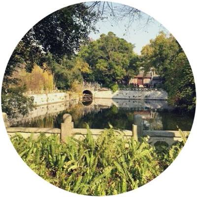 战塔英雄vivo版本下载